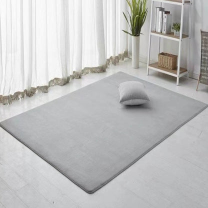 Plain Thick Coral Velvet Carpet
