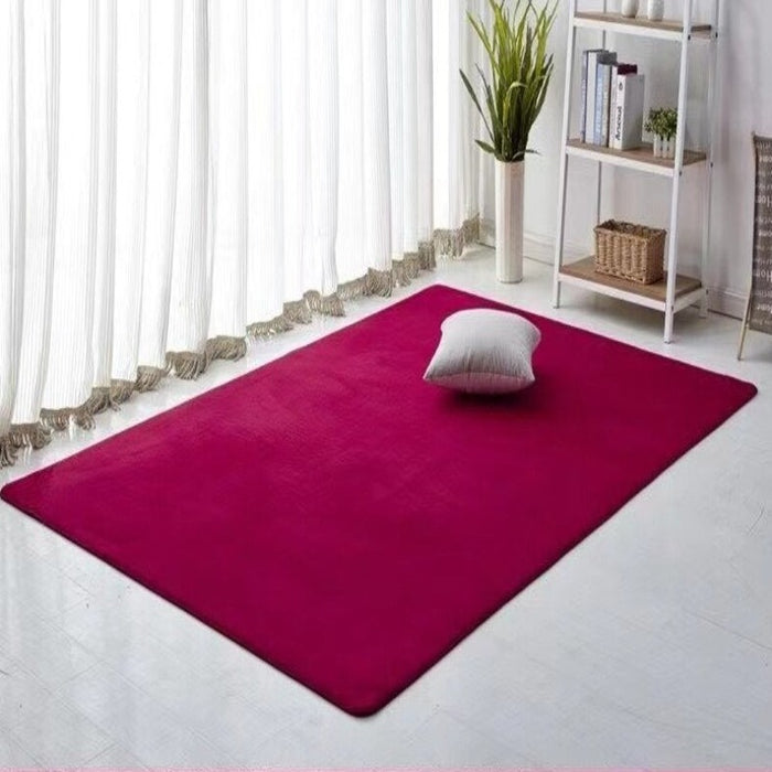 Plain Thick Coral Velvet Carpet
