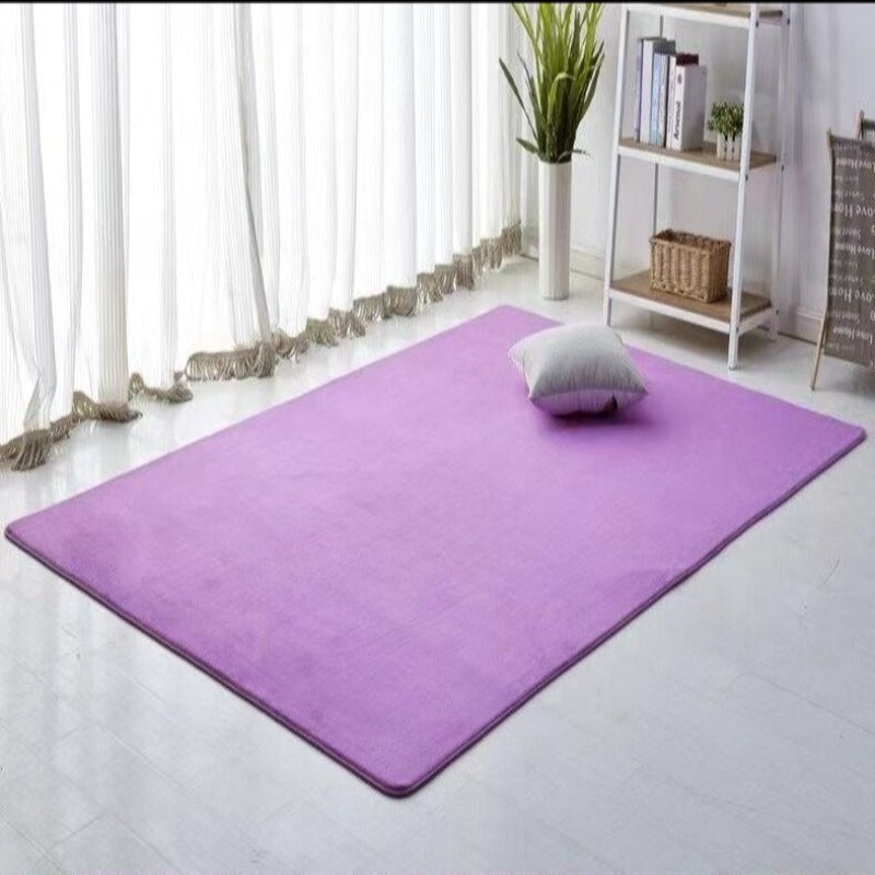 Plain Thick Coral Velvet Carpet For Home Decor