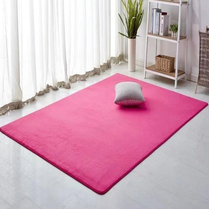 Plain Thick Coral Velvet Carpet For Home Decor